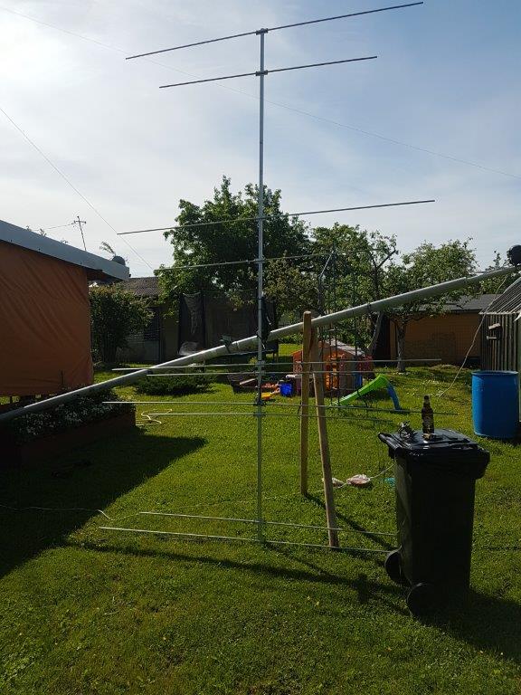 20190601_104120.jpg